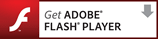 Adobe Web Site Logo